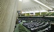 ماجرای جنجالی درخواست روادید تجاری برای سفر گروهی نمایندگان مجلس به آلمان