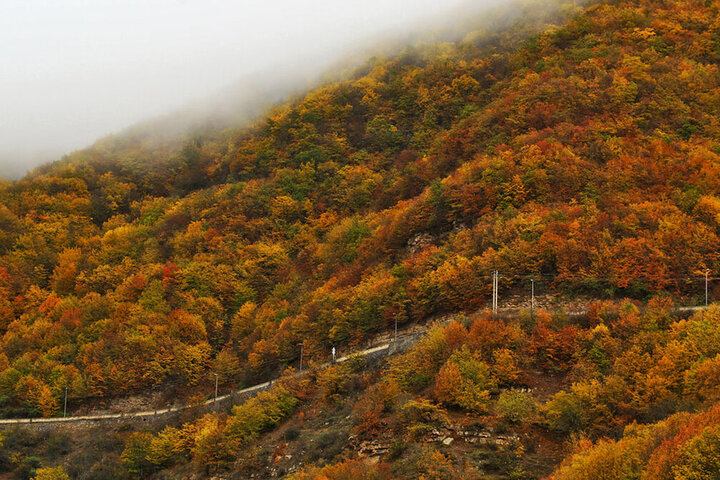 رنگ و بوی پاییزی در جاده چالوس