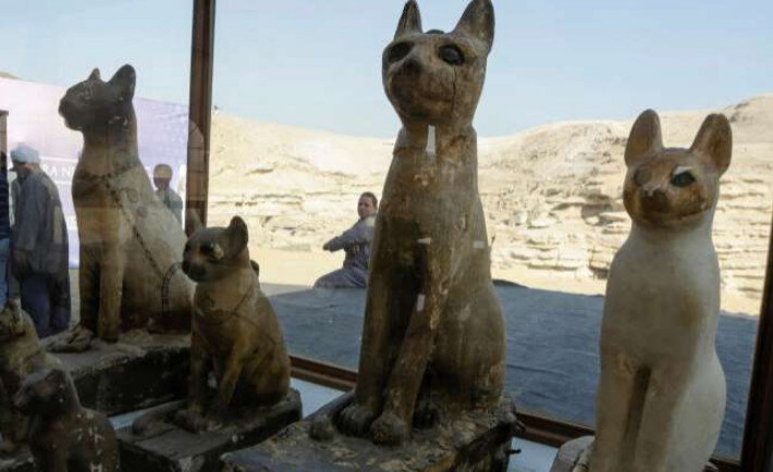 فیلم | رونمایی از حیوانات مومیامی شده در مصر