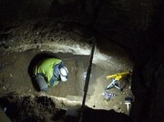 کشفیات تازه درباره استفاده انسان نئاندرتال از یک غار غرب کشور | بقایای جدید گونه‌های جانوری منقرض شده هم کشف شدند