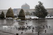 مرمتگر گنبد مسجد شیخ لطف الله: نشستن یا ننشستن برف روی گنبد مهم نیست