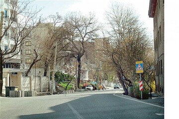 کوچه قورباغه کجاست؟ | محله دزاشیب تهران را بیشتر بشناسید