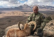 ژست جدید شکارچیان خارجی با حیوانات شکار شده در ایران + عکس