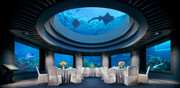 معرفی چند هتل‌ زیر آب | اقامت در کنار ماهی‌ها