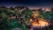 خانه درختی انگالا؛ در دل جنگل‌های آفریقا در زیر ستاره‌ها بخوابید
