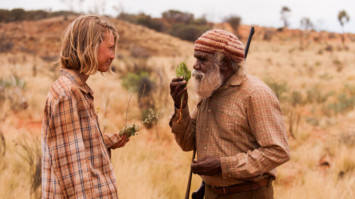 معرفی فیلم ردپا ها (۲۰۱۳)؛ داستان سفر تنهای یک زن از کویر استرالیا