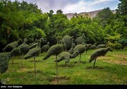 بازگشایی باغ ارم شیراز + تصاویر