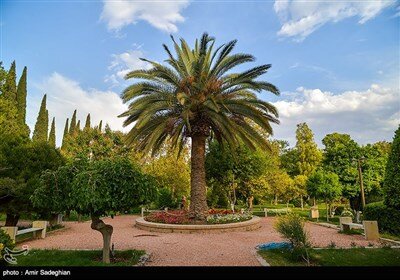 بازگشایی باغ ارم شیراز