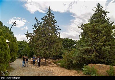 بازگشایی باغ ارم شیراز