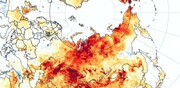 چرا قطب شمال خیلی سریعتر از سایر نقاط جهان گرم می شود؟