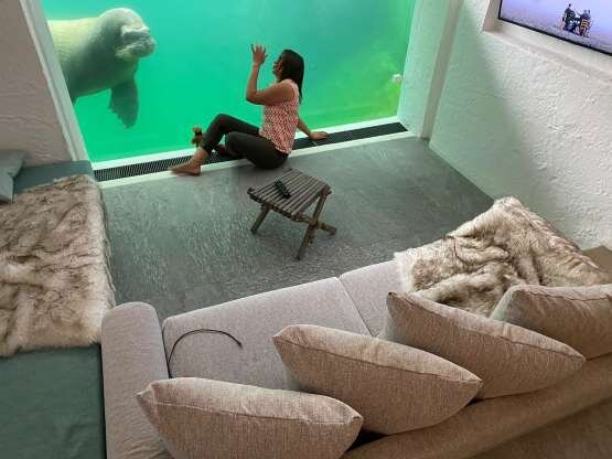 همراه با شیرهای دریایی در این هتل بخواب بروید و با خرس‌های قطبی بیدار شوید | تجربه غوطه‌وری با حیوانات دریایی