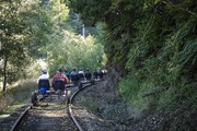 تور بازدید از جنگل‌ با قطار پدالی | مسیر قطارهای از کار افتاده جاذبه گردشگری می‌شوند