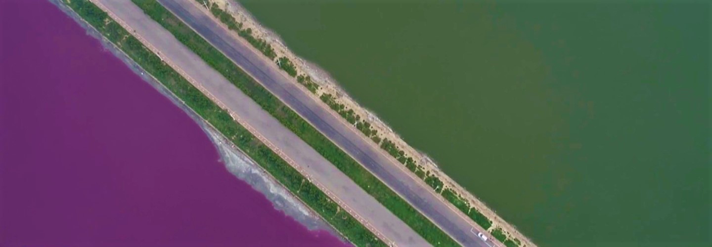 آرامستان رنگین‌کمان در دریای مرده | تصاویر بی‌نظیر رنگارنگ شدن دریاچه چینی‌ها را ببینید