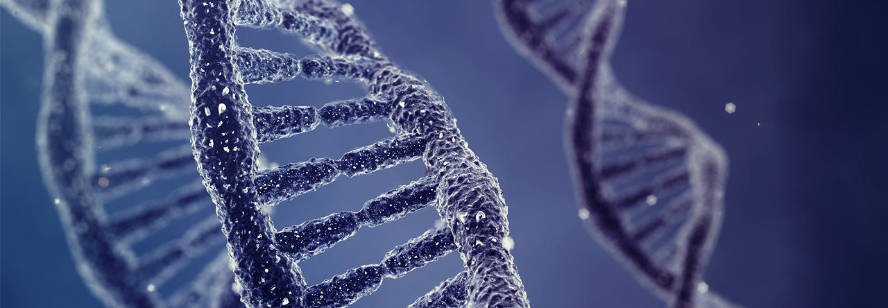 استخراج DNA و RNA در کارگاه تخصصی ژنتیک در حوزه میراث فرهنگی