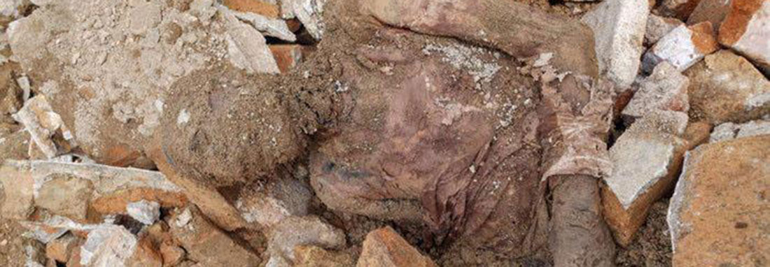 فرماندار شهر ری: جسد مومیایی کشف شده دفن شد | نمی‌دانم جسد رضا شاه بود یا نه | مسئولیت دفن این جسد با آستان مقدس بود