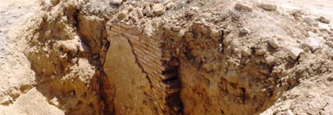 محوطه هزاره پنجم پیش از میلاد در بوشهر کشف شد