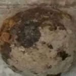 کشف یک گلوله توپ جنگی ۱۰۰ ساله در محوطه کاخ چهلستون اصفهان