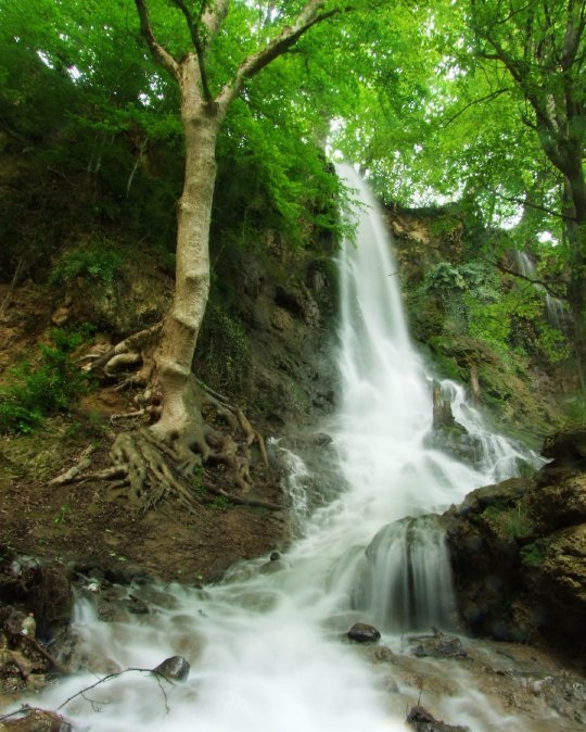 آبشار سمبی ؛ محصور میان درختان بلند | شمال می‌روید این آبشار و برکه رویایی در بهشهر شگفت‌زده‌تان می‌کند