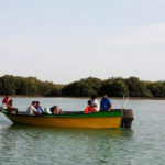 فیلم | بکارگیری دو آلاچیق شناور در  جنگل دریایی حرا