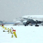 بارش برف پروازهای فرودگاه ایلام را لغو کرد