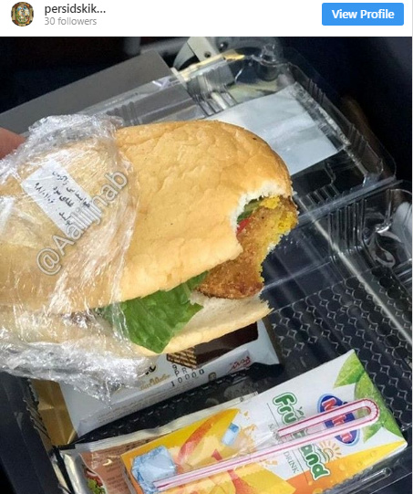 وعده غذایی فلافل در یک هواپیمای داخلی | تصویر پذیرایی ایرلاین ایرانی را ببینید | ایرلاین‌های خارجی با چه غذاهایی از مسافران پذیرایی می‌کنند؟