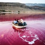 عامل رنگ صورتی و قرمز دریاچه مهارلو شیراز چیست؟ | گردشگران دو ماه برای تماشای دریاچه صورتی فرصت دارند
