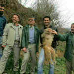 نگرانی مسافران از میمون‌های وحشی در شمال ایران | «رزوس‌ها» چطور از سیاهکل سر درآوردند؟
