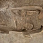 تصاویر تابوت‌های باستانی رها شده در محوطه ایلامی جوبجی ؛ اجساد نابود شدند؟ | میراث خوزستان: سیل آمد، پول نداشتیم ؛ باستان شناسان هم تعلل کردند